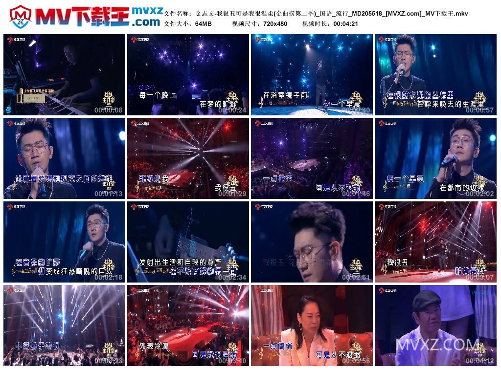 金志文-我很丑可是我很温柔(金曲捞第二季)_国语_流行_MD205518